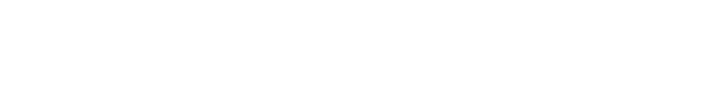 Adirondack Premier Properties